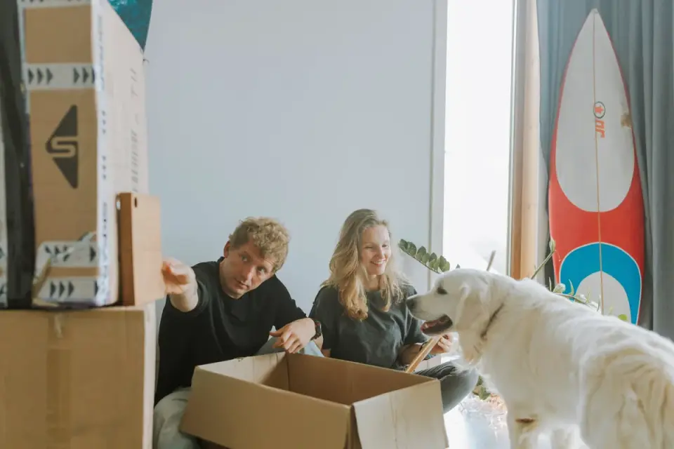 A dog leaning back with a stiff posture while a hand reaches toward its head
