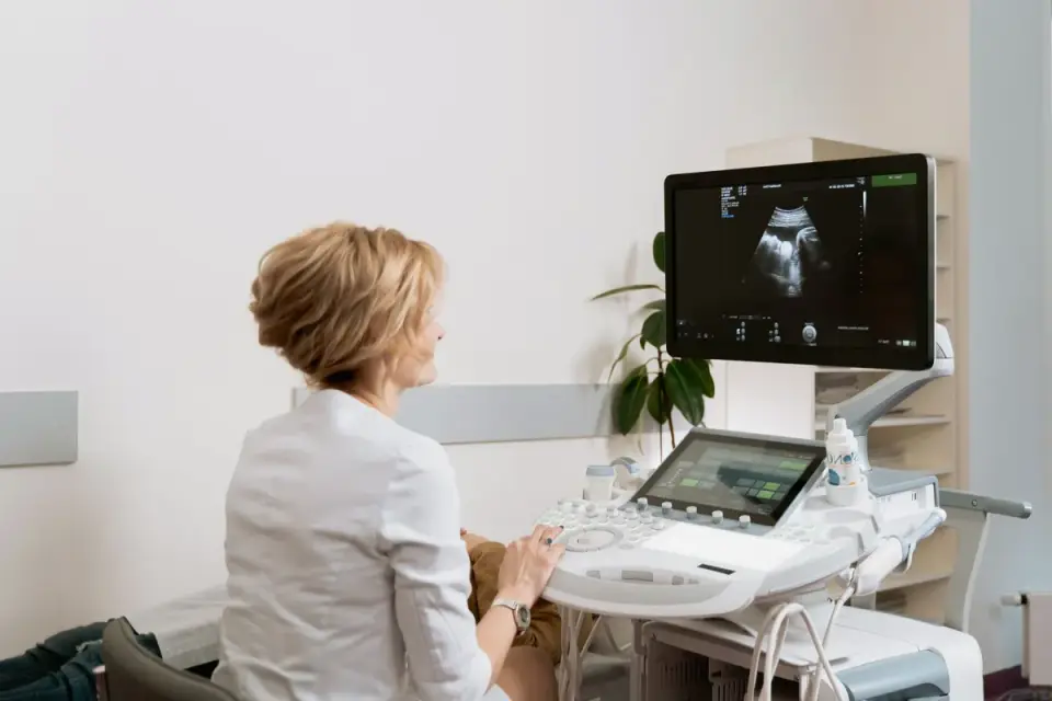 A veterinarian palpating a dog&#x27;s hip and spine during a wellness exam