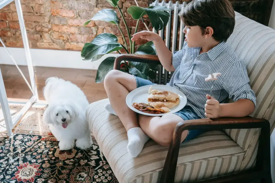 Dog eating from a bowl