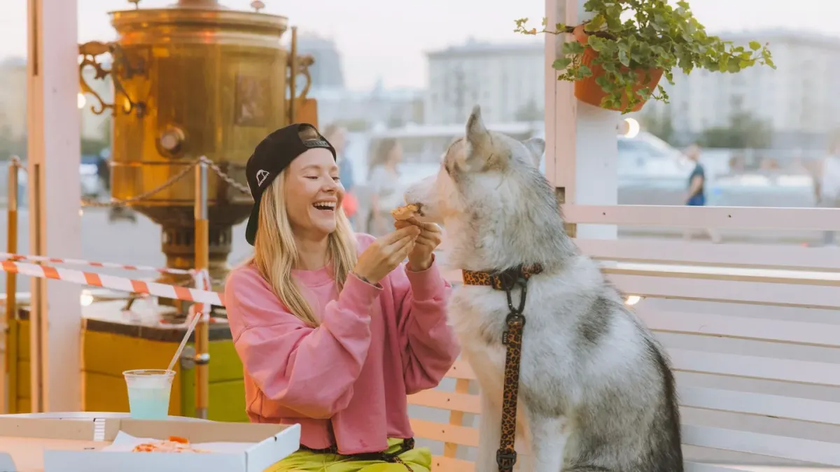 Dog owner preparing a meal