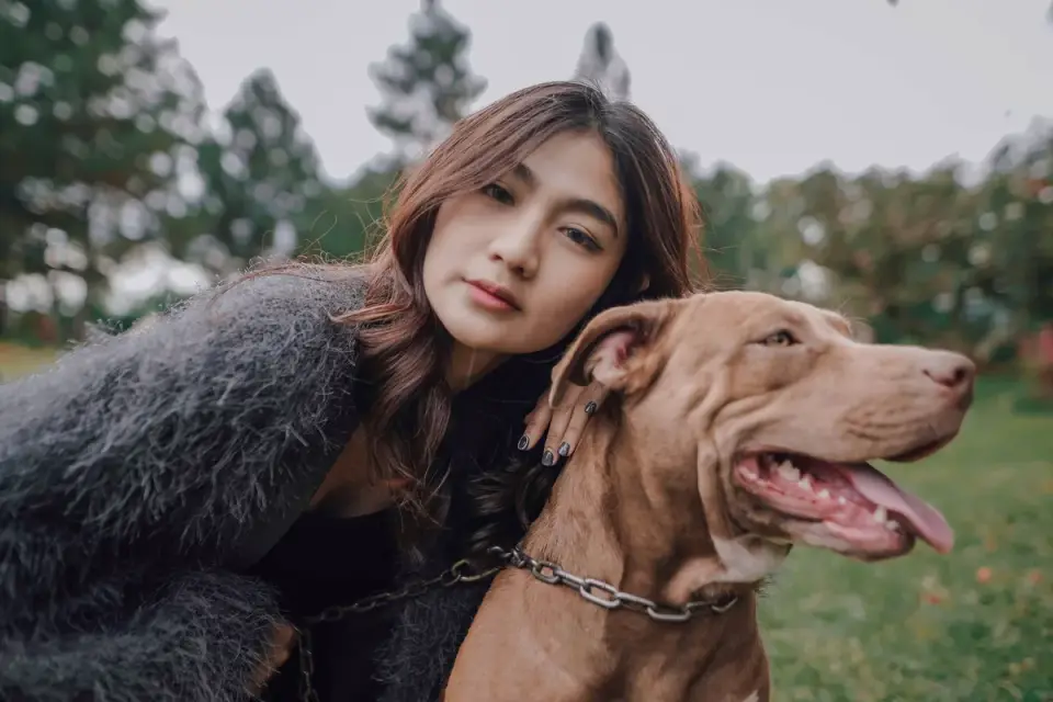 Older dog with an owner in a park