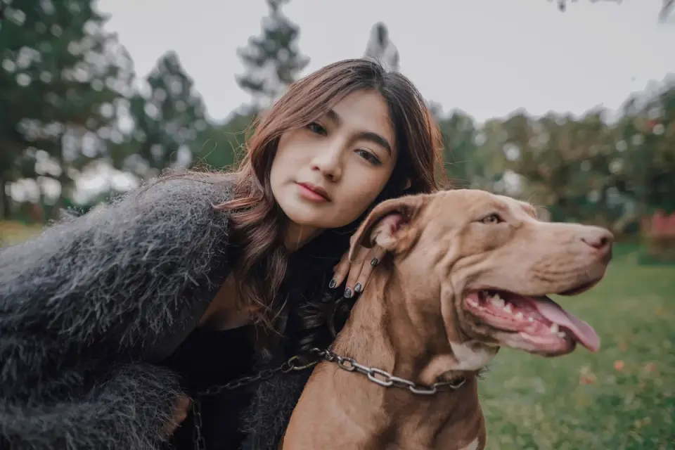 Older dog with an owner in a park