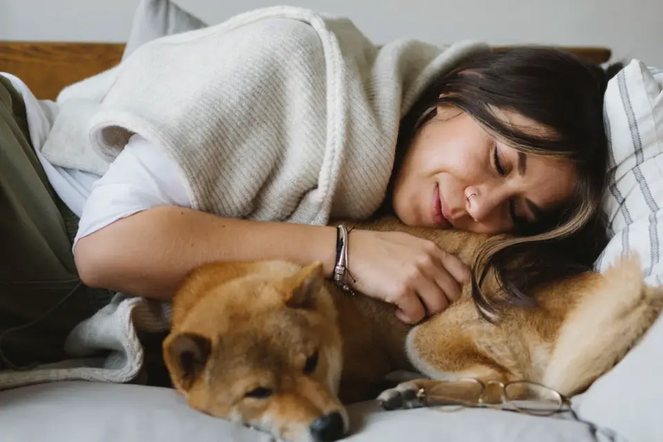 Relaxed dog resting comfortably near its owner on a couch
