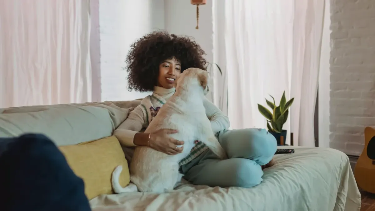 Senior dog resting calmly on a couch next to its owner